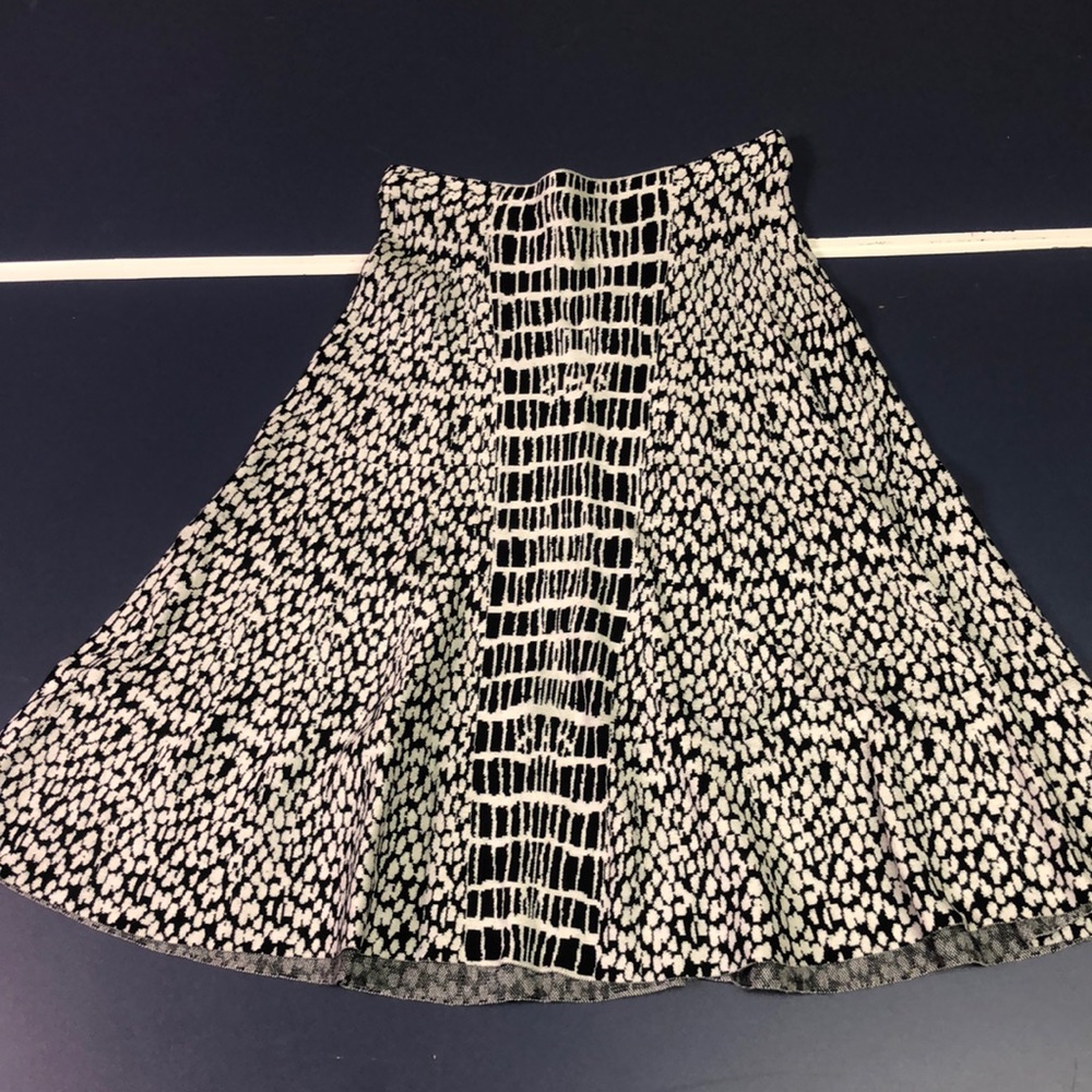 Sioni Skirt